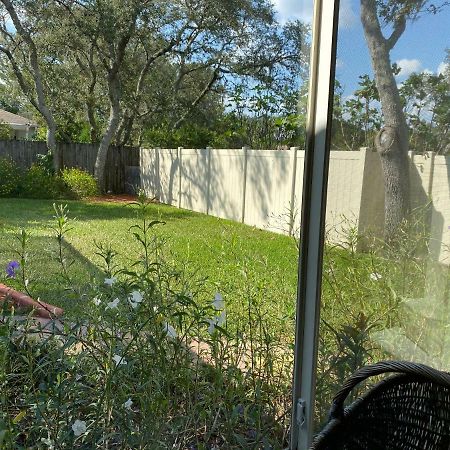 Modern Pool Home Spring Hill Exterior foto